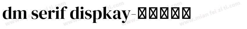 dm serif dispkay字体转换